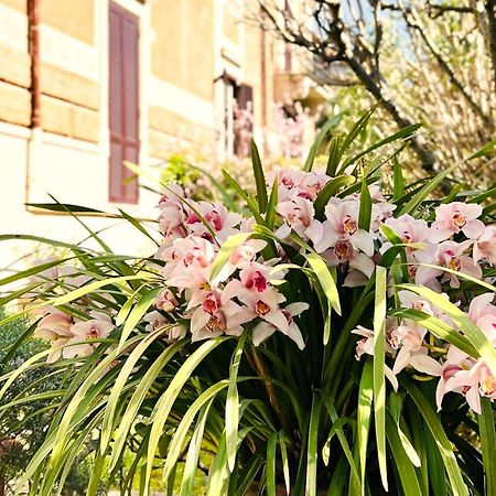 Villa Michelangelo Deluxe 로마 외부 사진